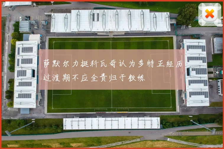 萨默尔力挺科瓦奇认为多特正经历过渡期不应全责归于教练