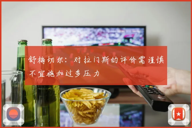 舒梅切尔：对拉门斯的评价需谨慎不宜施加过多压力